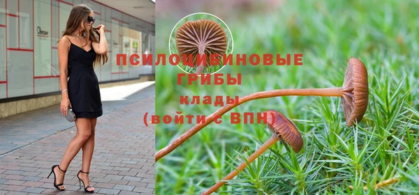 прущая мука Каменногорск