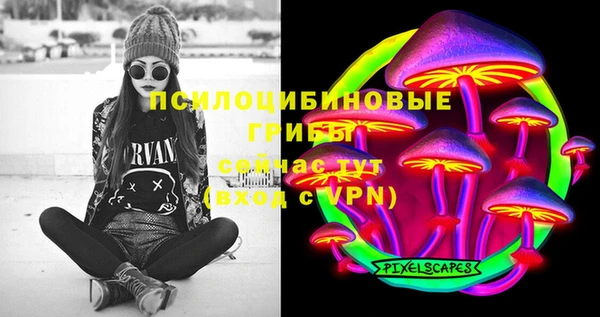 прущая мука Каменногорск